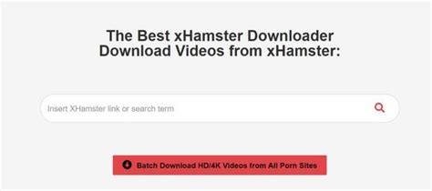 xhmaster video downloader|Best xHamster Downloader